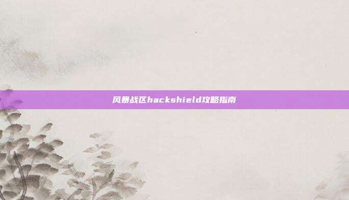 风暴战区hackshield攻略指南