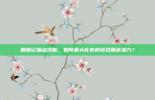 鹿鼎记加点攻略,如何最大化你的游戏角色潜力?