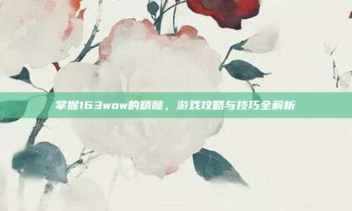 掌握163wow的精髓,游戏攻略与技巧全解析