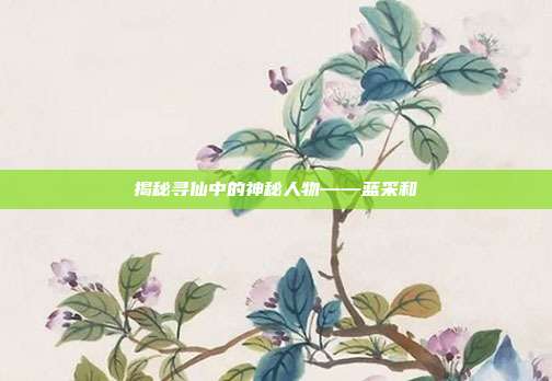 揭秘寻仙中的神秘人物——蓝采和