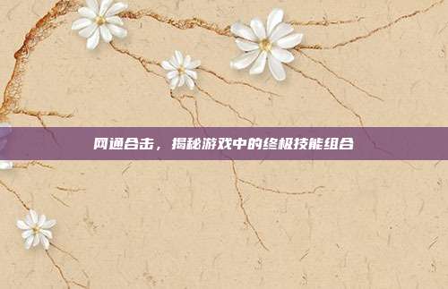 网通合击,揭秘游戏中的终极技能组合