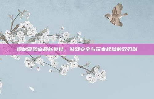 揭秘冒险岛最新外挂,游戏安全与玩家权益的双刃剑