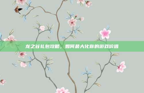 龙之谷礼包攻略,如何最大化你的游戏价值