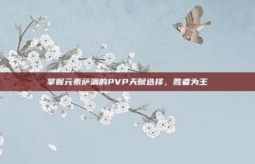 掌握元素萨满的PVP天赋选择,胜者为王