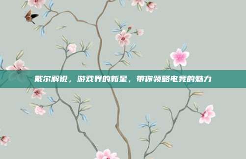 戴尔解说,游戏界的新星,带你领略电竞的魅力