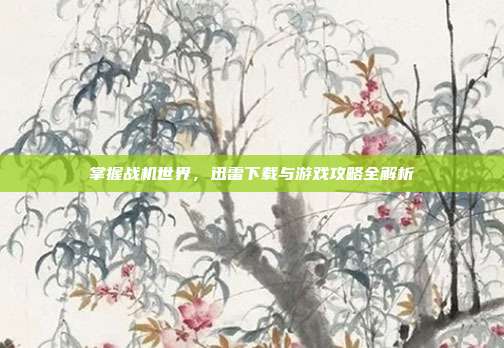 掌握战机世界,迅雷下载与游戏攻略全解析