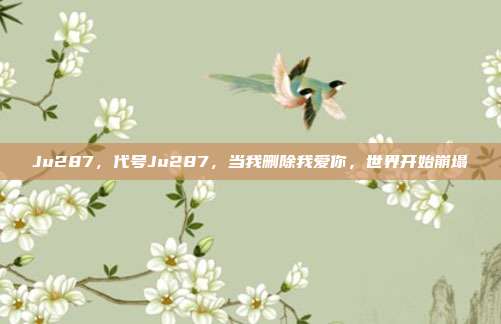 Ju287，代号Ju287，当我删除我爱你，世界开始崩塌