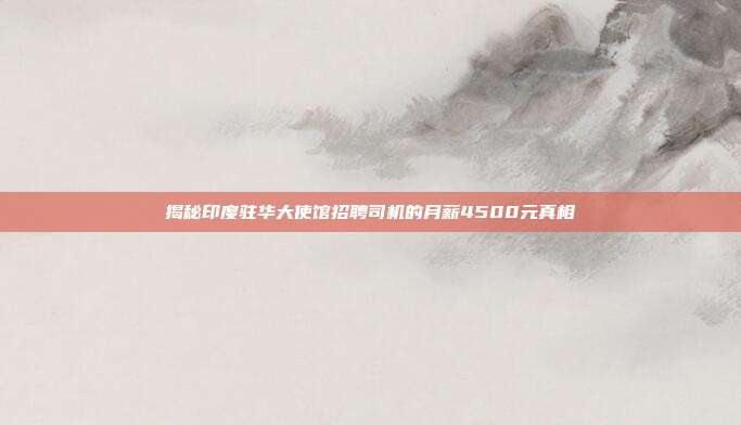 揭秘印度驻华大使馆招聘司机的月薪4500元真相