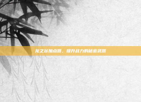 龙之谷加点器,提升战力的秘密武器