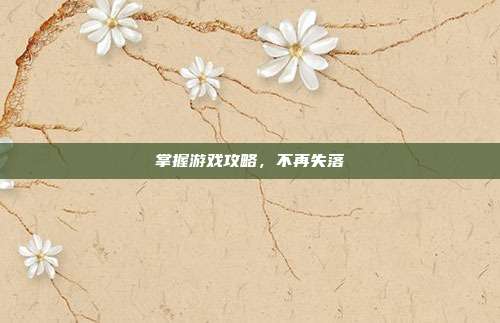 掌握游戏攻略,不再失落