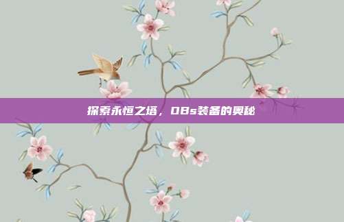 探索永恒之塔,OBs装备的奥秘