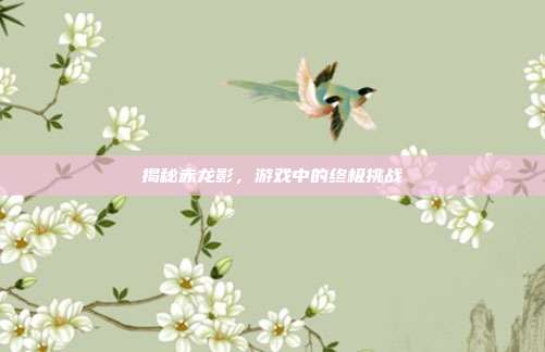 揭秘赤龙影,游戏中的终极挑战
