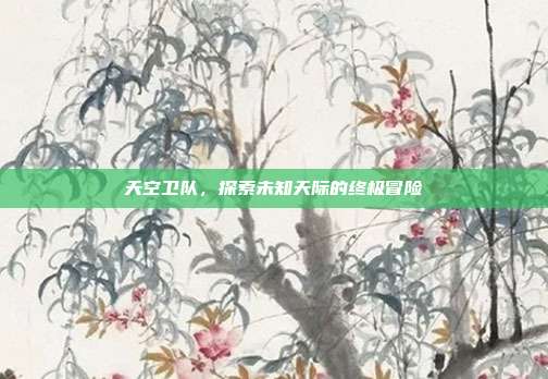 天空卫队,探索未知天际的终极冒险
