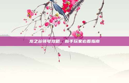 龙之谷领号攻略,新手玩家必看指南