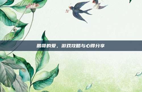 鹏哥的爱，游戏攻略与心得分享