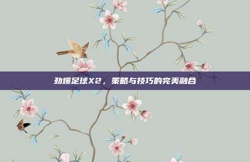 劲爆足球X2,策略与技巧的完美融合