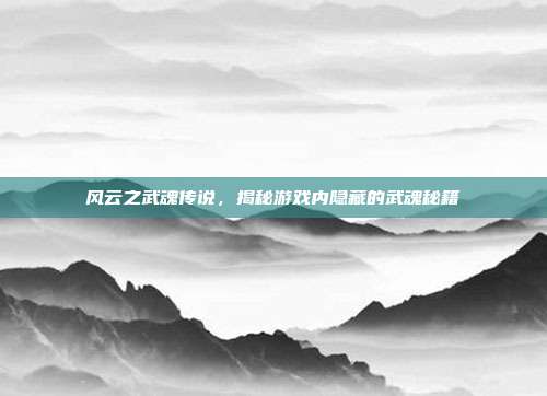 风云之武魂传说,揭秘游戏内隐藏的武魂秘籍