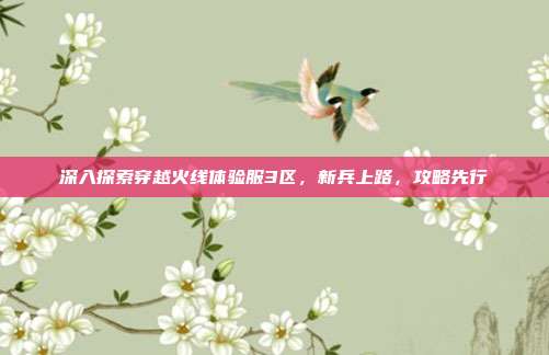 深入探索穿越火线体验服3区,新兵上路,攻略先行
