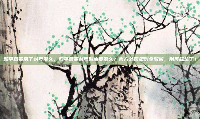 和平精英用了封号多久，和平精英封号到底要多久？官方处罚规则全解析，别再踩坑了！