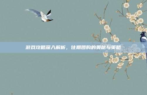 游戏攻略深入解析,往期团购的奥秘与策略