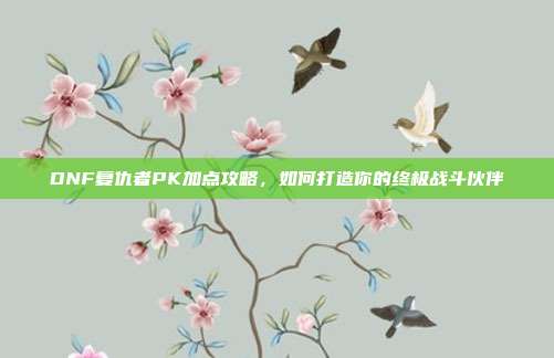DNF复仇者PK加点攻略,如何打造你的终极战斗伙伴