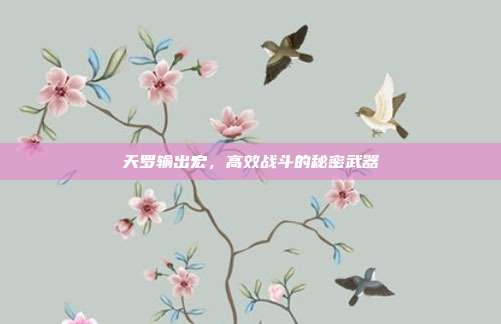天罗输出宏,高效战斗的秘密武器