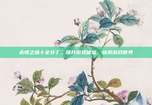 永恒之塔十全补丁,提升游戏体验,探索游戏世界