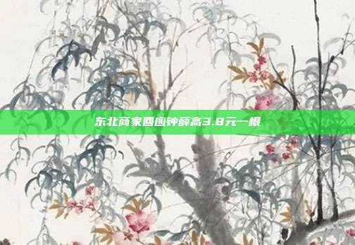 东北商家回应钟薛高3.8元一根