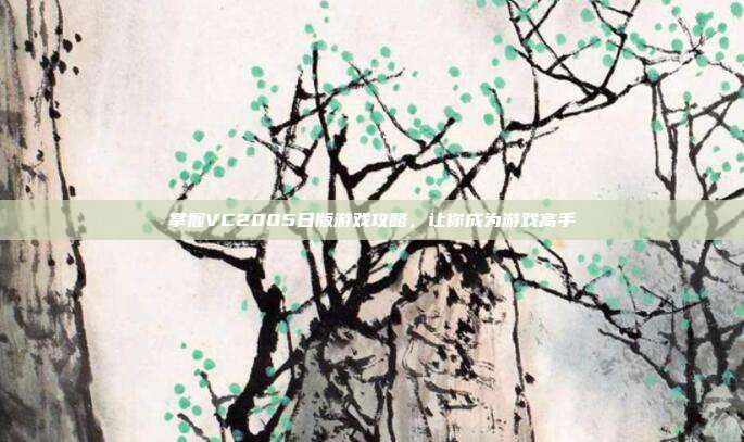 掌握VC2005日版游戏攻略,让你成为游戏高手
