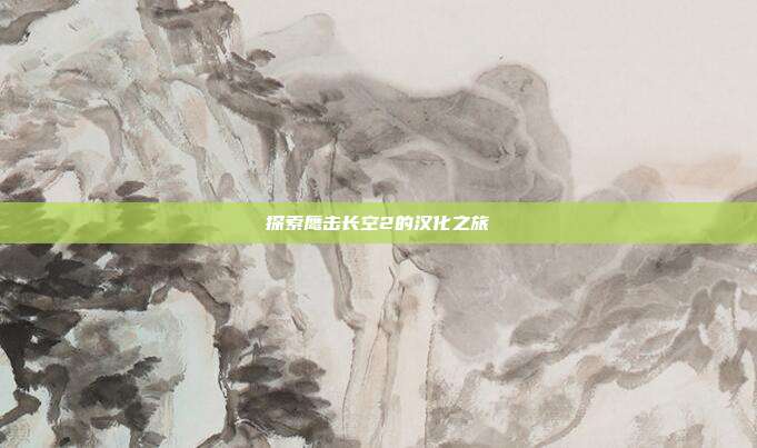 探索鹰击长空2的汉化之旅