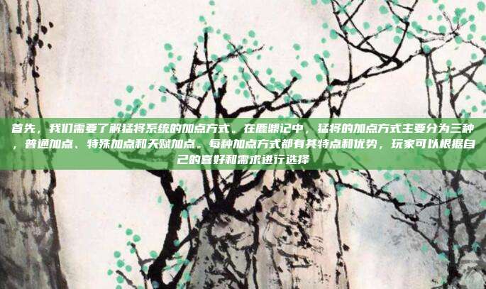 首先,我们需要了解猛将系统的加点方式。在鹿鼎记中,猛将的加点方式主要分为三种,普通加点、特殊加点和天赋加点。每种加点方式都有其特点和优势,玩家可以根据自己的喜好和需求进行选择