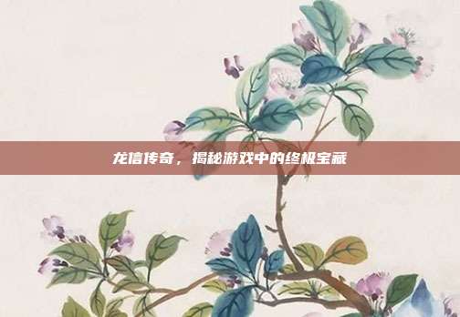龙信传奇,揭秘游戏中的终极宝藏