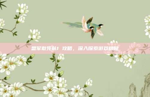 盟军敢死队1 攻略,深入探索游戏精髓