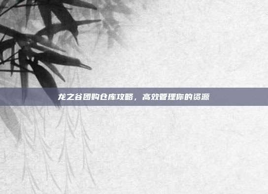 龙之谷团购仓库攻略,高效管理你的资源