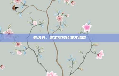 老滚五,高尔多碎片集齐指南