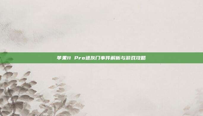 苹果11 Pro进灰门事件解析与游戏攻略