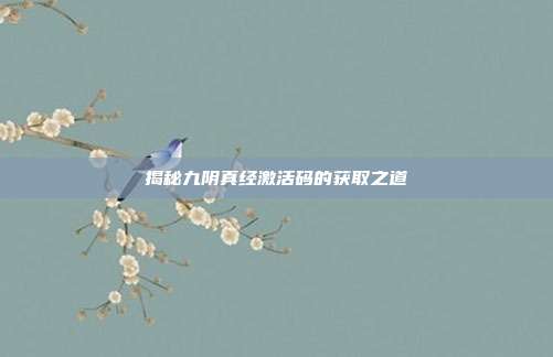 揭秘九阴真经激活码的获取之道