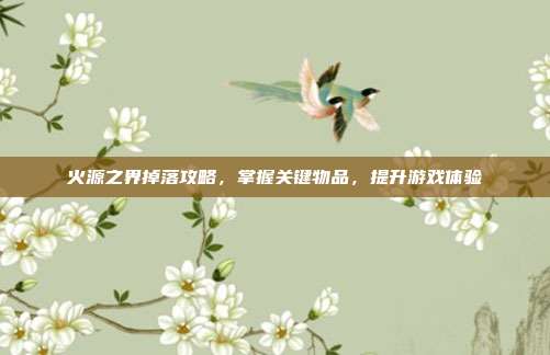 火源之界掉落攻略,掌握关键物品,提升游戏体验