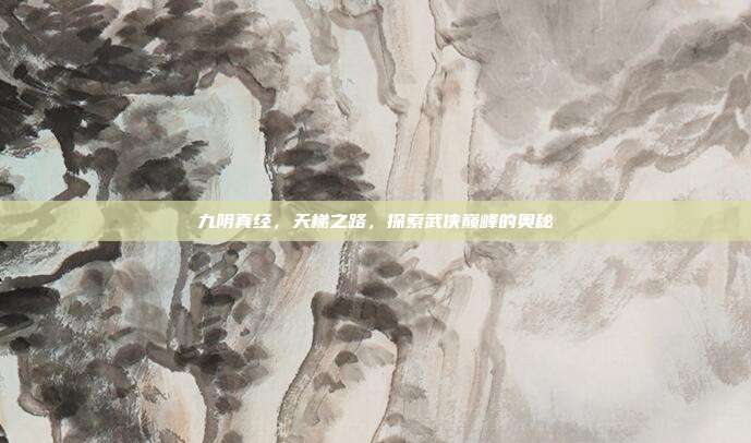 九阴真经,天梯之路,探索武侠巅峰的奥秘