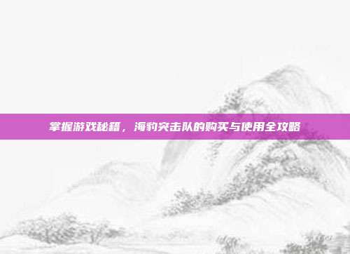掌握游戏秘籍,海豹突击队的购买与使用全攻略