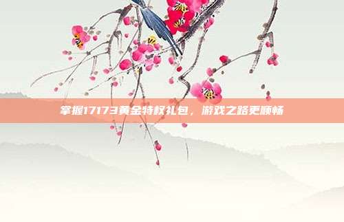 掌握17173黄金特权礼包,游戏之路更顺畅