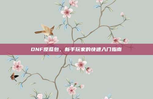 DNF傻瓜包,新手玩家的快速入门指南