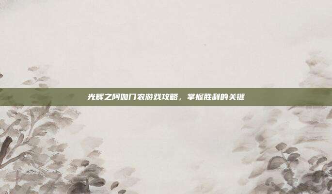 光辉之阿伽门农游戏攻略,掌握胜利的关键
