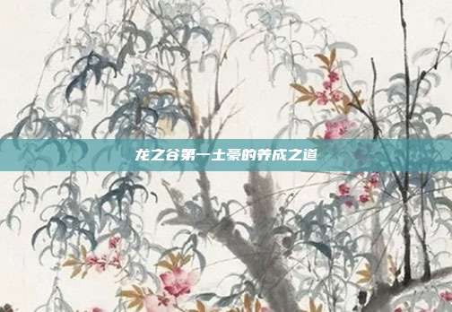 龙之谷第一土豪的养成之道