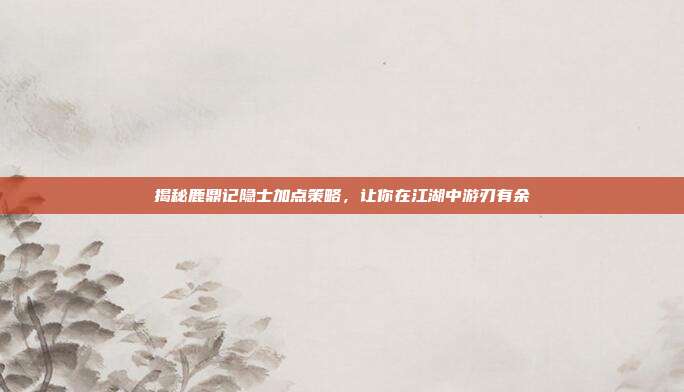揭秘鹿鼎记隐士加点策略,让你在江湖中游刃有余