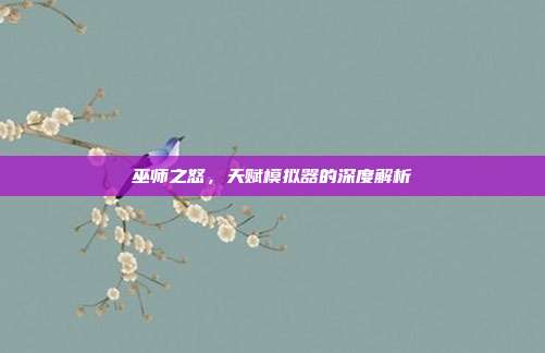 巫师之怒,天赋模拟器的深度解析