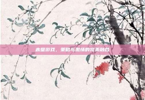赤壁游戏,策略与激情的完美融合