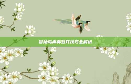 冒险岛奔奔双开技巧全解析