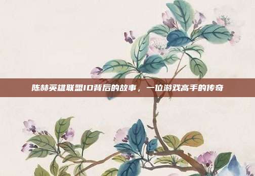 陈赫英雄联盟ID背后的故事,一位游戏高手的传奇