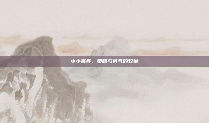小小名将,策略与勇气的较量